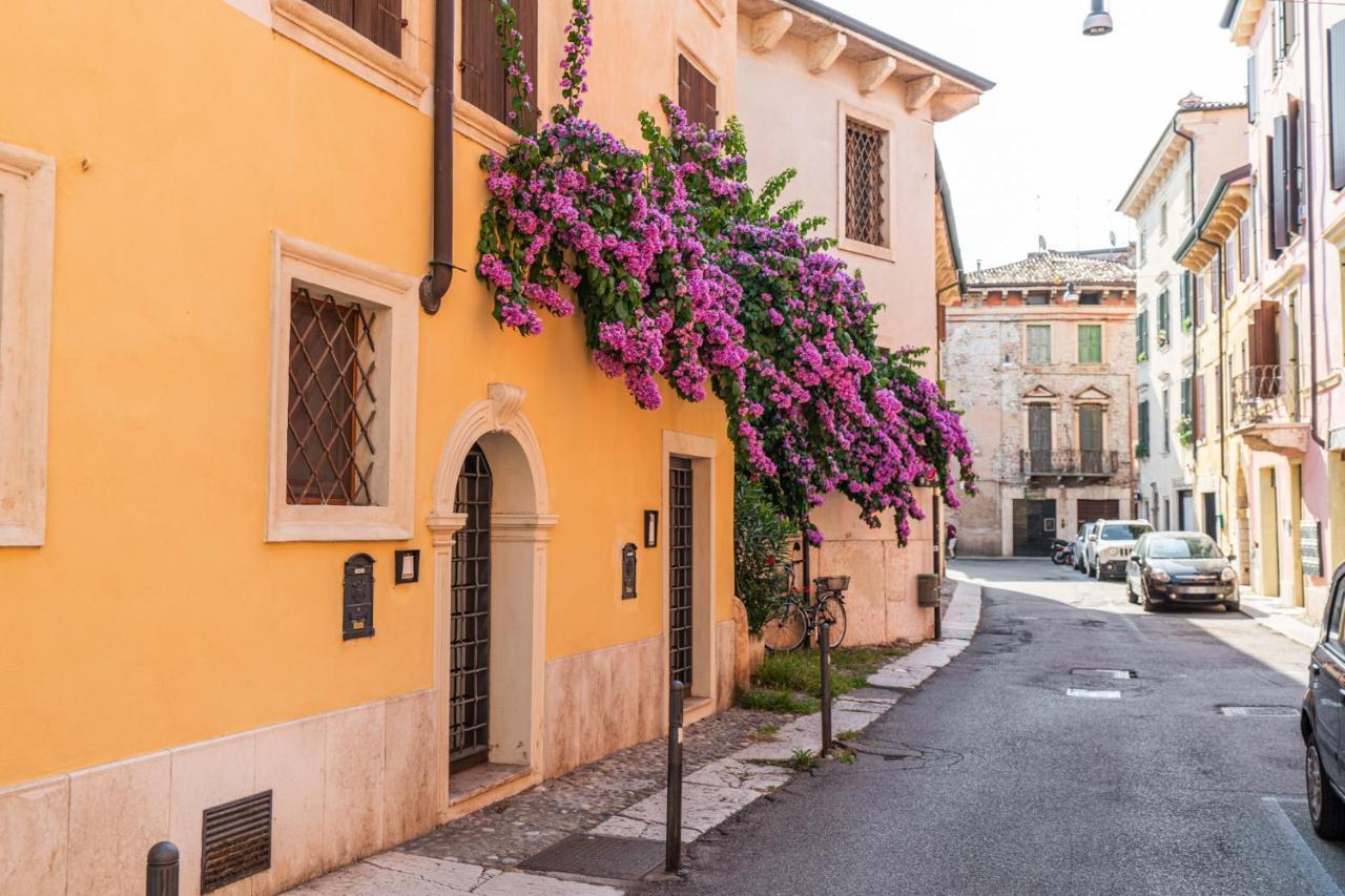 Domus Verona - Residenza Merici Exteriér fotografie